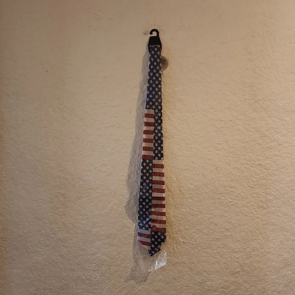 LOT OF 10 AMERICAN FLAG TIES